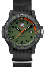 Load image into Gallery viewer, LEATHERBACK SEA TURTLE