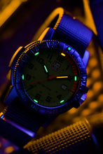 Load image into Gallery viewer, LEATHERBACK SEA TURTLE