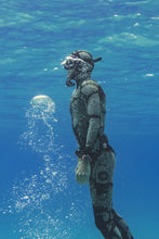 Load image into Gallery viewer, PACIFIC DIVER