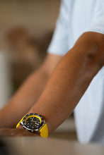 Load image into Gallery viewer, PACIFIC DIVER