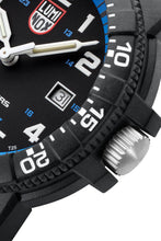 Load image into Gallery viewer, LEATHERBACK SEA TURTLE