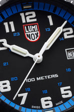 Load image into Gallery viewer, LEATHERBACK SEA TURTLE