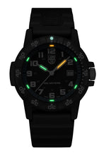 Load image into Gallery viewer, LEATHERBACK SEA TURTLE