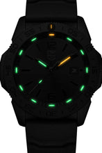 Load image into Gallery viewer, PACIFIC DIVER