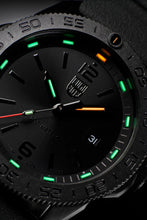 Load image into Gallery viewer, PACIFIC DIVER