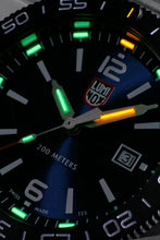 Load image into Gallery viewer, PACIFIC DIVER