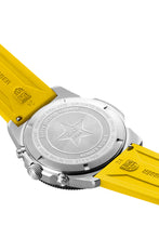 Load image into Gallery viewer, PACIFIC DIVER