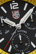 Load image into Gallery viewer, PACIFIC DIVER