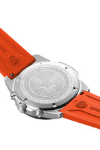 Load image into Gallery viewer, PACIFIC DIVER