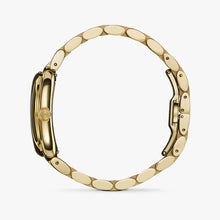 Load image into Gallery viewer, THE LAPIS BOOK 25MM