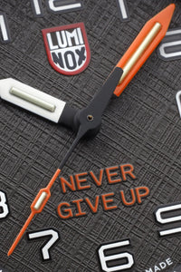 BEAR GRYLLS 3729 NEVER GIVE UP