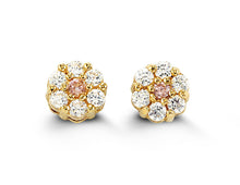 Load image into Gallery viewer, 14k Yellow Gold Studs (More Colours Available)
