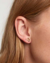 Load image into Gallery viewer, CAPRICORN EARRINGS
