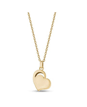Load image into Gallery viewer, Heart Ashes Holder Necklace
